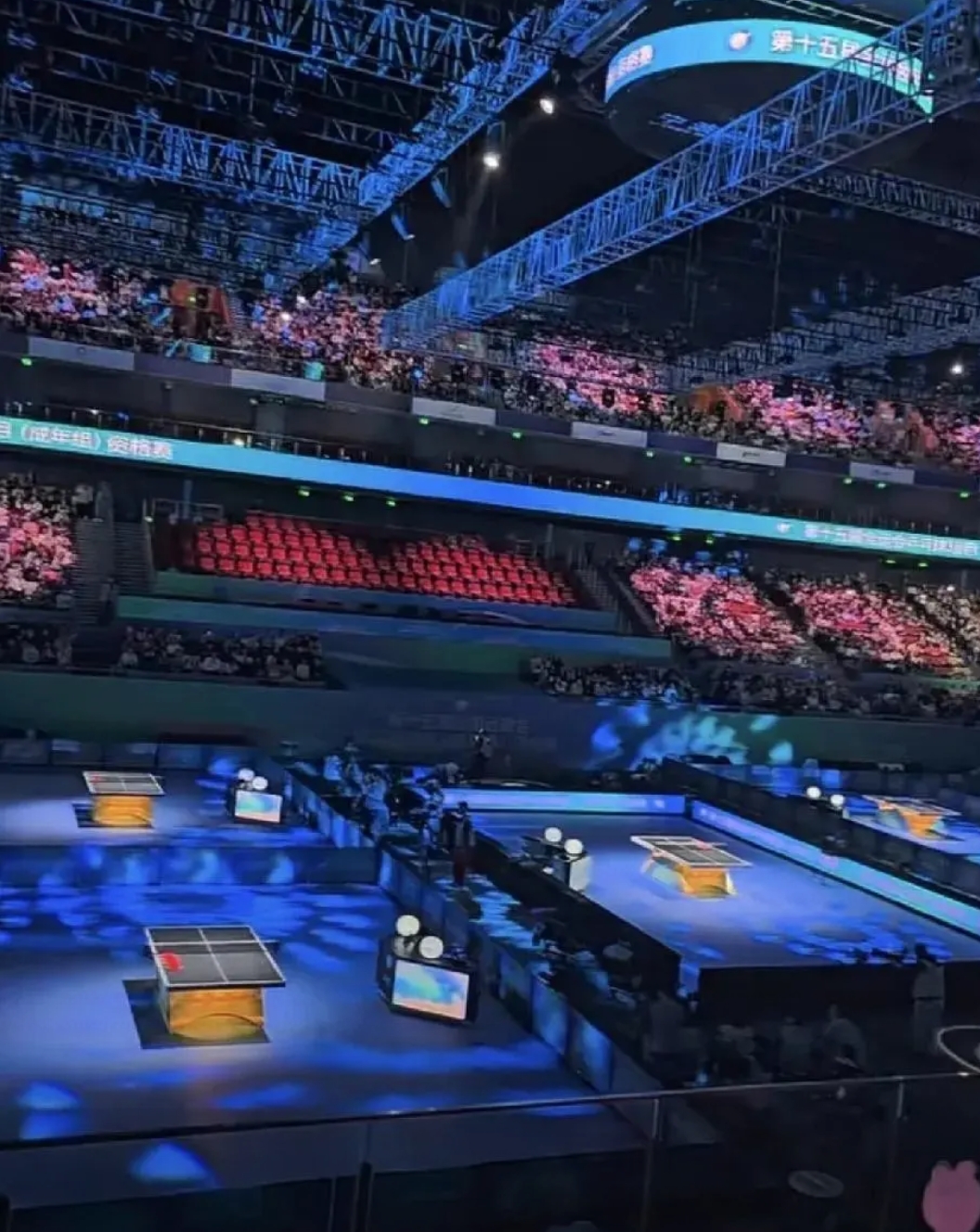 关于场面火爆！体操观众席沸腾不已的信息