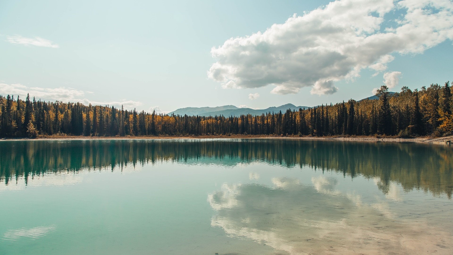 开云sport-欧洲足球新版图，比利时黄金一代掀翻亚平宁堡垒