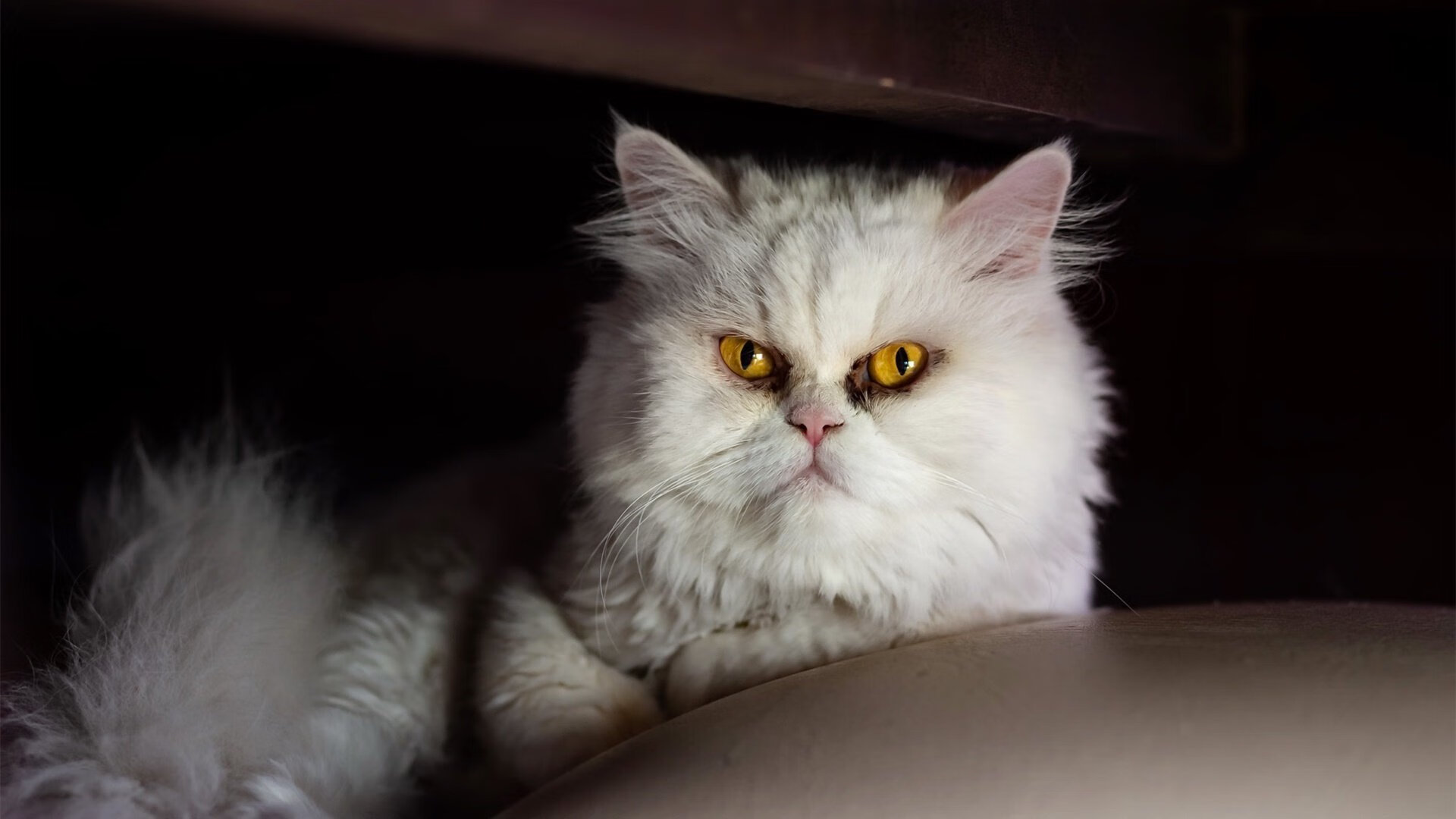 稳定输出与关键突围，论偶然与必然的绿茵辩证法