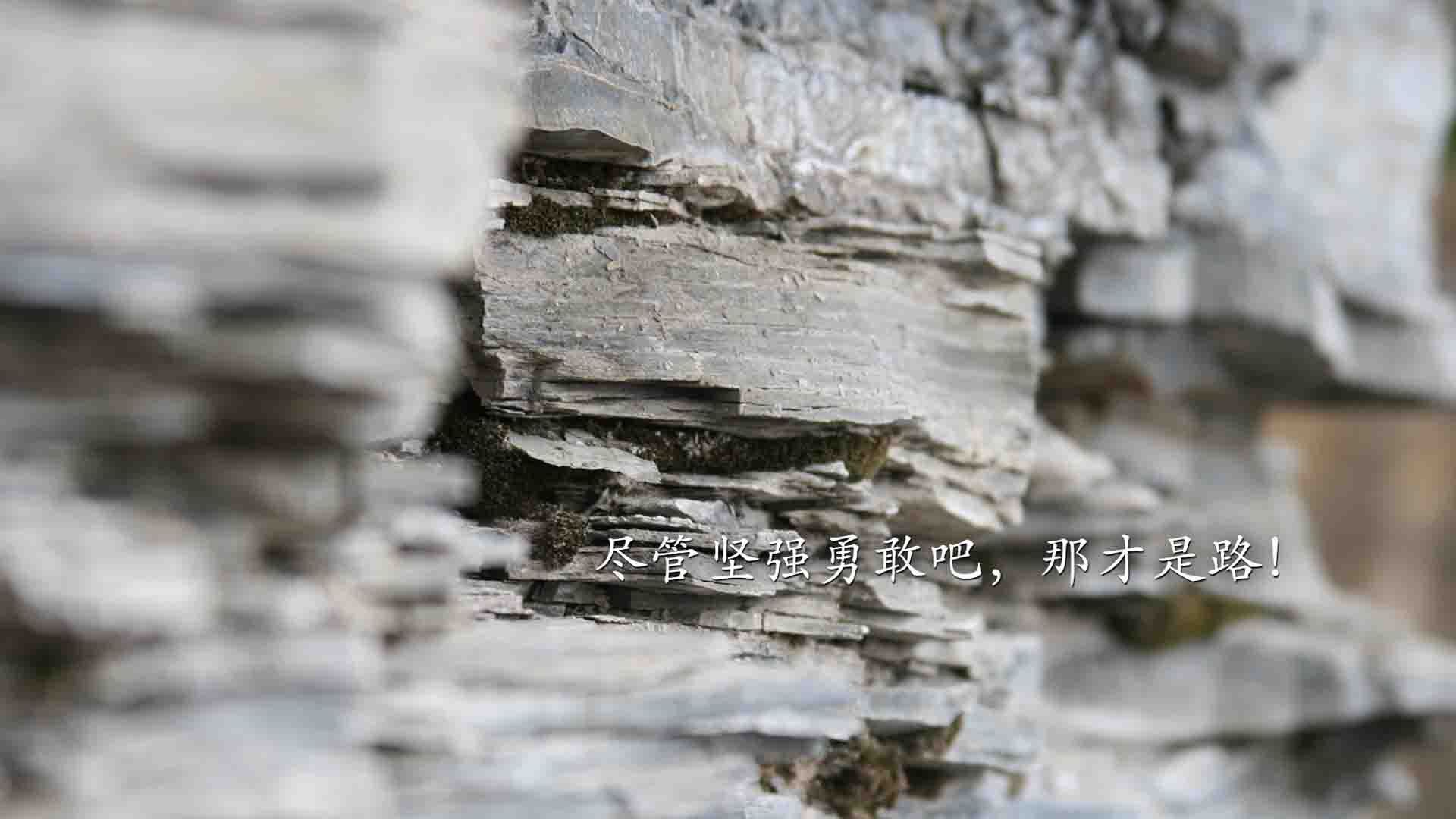 高卢雄鸡的闪电突袭,2026世界杯八分之一决赛,法国以攻守转换之刃刺穿沙特,塔雷米独舞成焦点