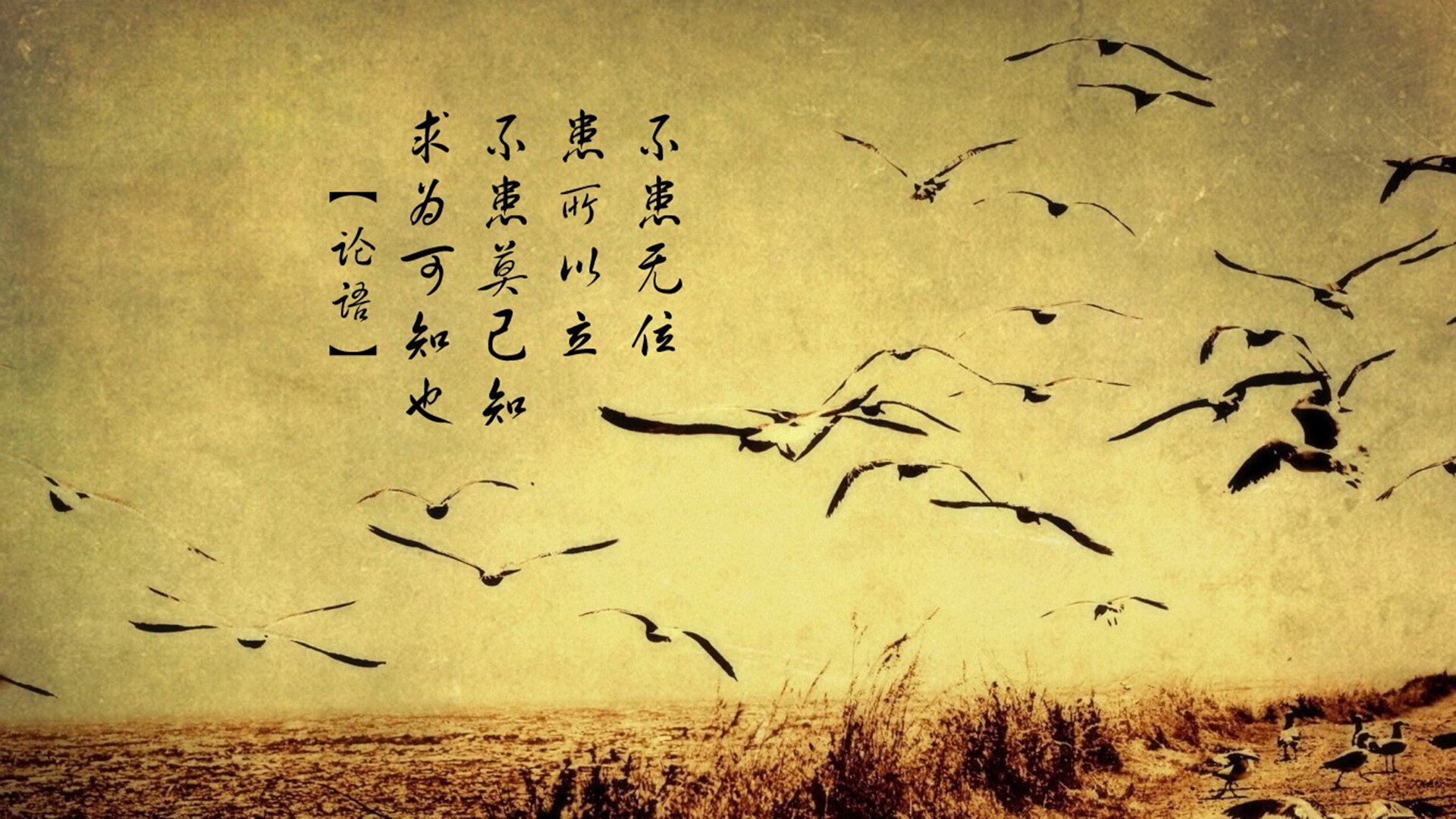 孤星耀世,2026世界杯淘汰赛焦点战,捷克钢铁洪流碾压塞尔维亚,萨内一人主导的史诗级战役