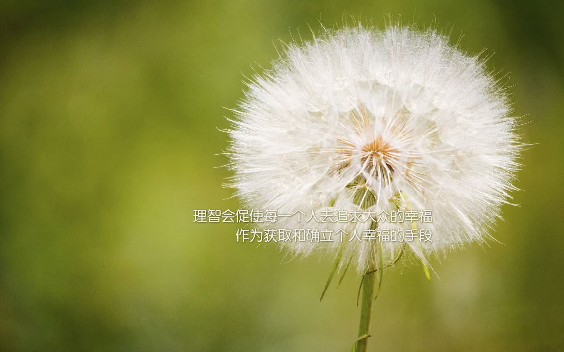 扩展思维的文章标题